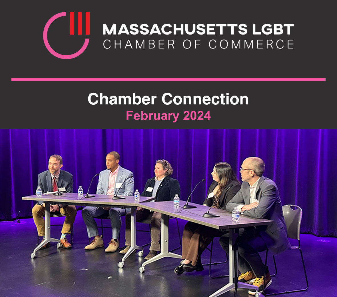 Header image of the Mass LGBT Chamber of Commerce February's Newsletter